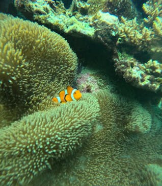 マーレ石垣島に投稿された画像（2025/9/12）