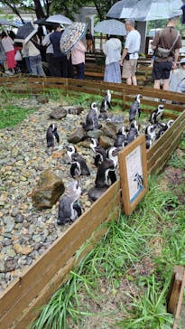 那須どうぶつ王国に投稿された画像（2025/9/12）