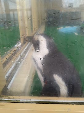 名古屋港水族館に投稿された画像（2025/9/12）