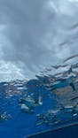 サンシャイン水族館に投稿された画像（2025/9/12）