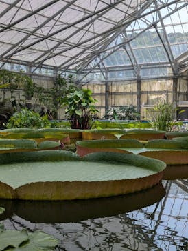 掛川花鳥園に投稿された画像（2025/9/12）