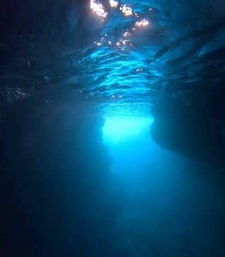 青の洞窟専門店　沖縄ダイビングショップ和に投稿された画像（2025/9/12）