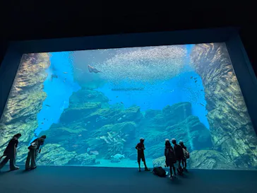 仙台うみの杜水族館に投稿された画像（2025/9/12）