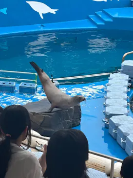 仙台うみの杜水族館に投稿された画像（2025/9/12）