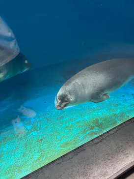 仙台うみの杜水族館に投稿された画像（2025/9/12）