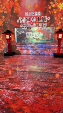 マクセル アクアパーク品川に投稿された画像（2025/9/12）