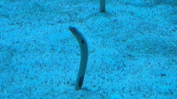 マクセル アクアパーク品川に投稿された画像（2025/9/12）