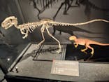 福井県立恐竜博物館に投稿された画像（2025/9/12）