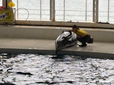 アクアワールド茨城県大洗水族館に投稿された画像（2025/9/12）