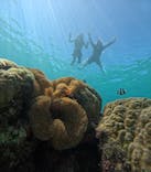 宮古島 ADVENTURE PiPi（ミヤコジマ アドベンチャー ピピ）に投稿された画像（2025/9/12）