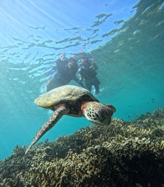 宮古島 ADVENTURE PiPi（ミヤコジマ アドベンチャー ピピ）に投稿された画像（2025/9/12）