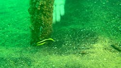 マリンズプロに投稿された画像（2025/9/12）