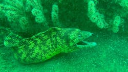 マリンズプロに投稿された画像（2025/9/12）