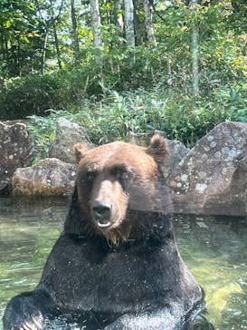サホロリゾート　ベア･マウンテンに投稿された画像（2025/9/12）