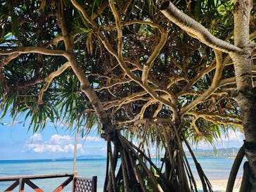 アルガイド沖縄に投稿された画像（2025/9/12）