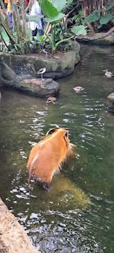 那須どうぶつ王国に投稿された画像（2025/9/12）