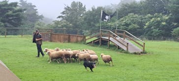 那須どうぶつ王国に投稿された画像（2025/9/12）