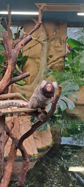 那須どうぶつ王国に投稿された画像（2025/9/12）