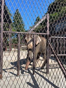 ANIMAL WONDER REZOURT 市原ぞうの国・サユリワールドに投稿された画像（2025/9/12）