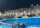 名古屋港水族館に投稿された画像（2025/9/12）