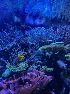 名古屋港水族館に投稿された画像（2025/9/12）