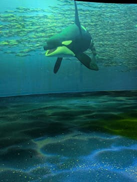 AOAO SAPPOROに投稿された画像（2025/9/12）