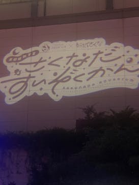 サンシャイン水族館に投稿された画像（2025/9/12）