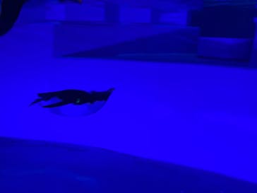 AOAO SAPPOROに投稿された画像（2025/9/12）