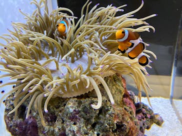 AOAO SAPPOROに投稿された画像（2025/9/12）