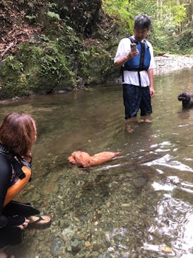 Verde Odai（ベルデオオダイ）に投稿された画像（2025/9/12）