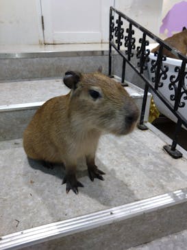 アニタッチ 東京ドームシティに投稿された画像（2025/9/12）