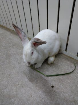 アニタッチ 東京ドームシティに投稿された画像（2025/9/12）