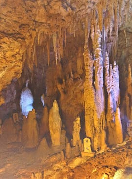 おきなわワールドに投稿された画像（2025/9/12）