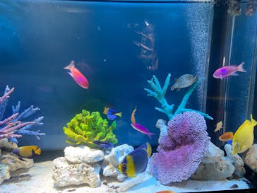 サンシャイン水族館に投稿された画像（2025/9/12）