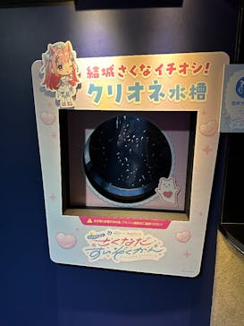 サンシャイン水族館に投稿された画像（2025/9/12）