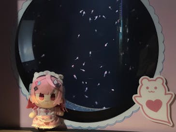 サンシャイン水族館に投稿された画像（2025/9/12）