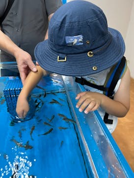 越前松島水族館に投稿された画像（2025/9/12）