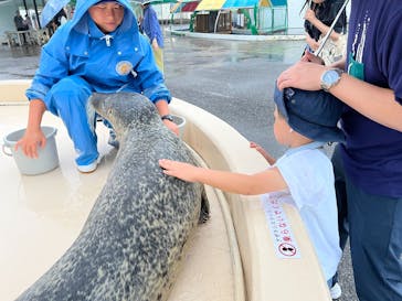 越前松島水族館に投稿された画像（2025/9/12）