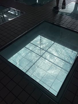 徳島県立 渦の道に投稿された画像（2025/9/12）