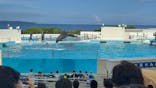 沖縄美ら海水族館に投稿された画像（2025/9/13）