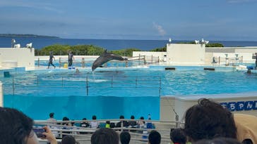 沖縄美ら海水族館に投稿された画像（2025/9/13）