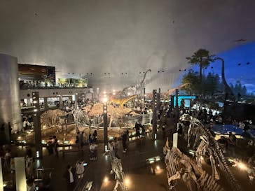 福井県立恐竜博物館に投稿された画像（2025/9/13）