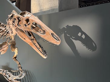 福井県立恐竜博物館に投稿された画像（2025/9/13）