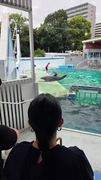 しながわ水族館に投稿された画像（2025/9/13）