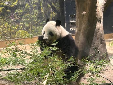 恩賜上野動物園に投稿された画像（2025/9/13）