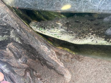 恩賜上野動物園に投稿された画像（2025/9/13）