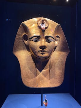 ACN ラムセス大王展 ファラオたちの黄金に投稿された画像（2025/9/13）