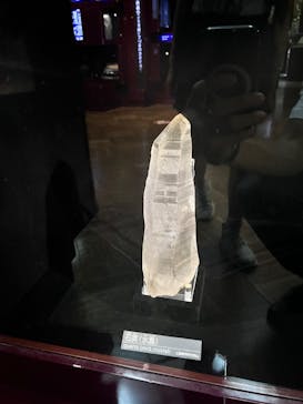 国立科学博物館に投稿された画像（2025/9/13）