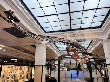 国立科学博物館に投稿された画像（2025/9/13）