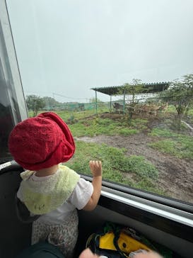 岩手サファリパークに投稿された画像（2025/9/13）